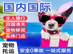 阿拉尔塔里木航空邮寄国际宠物托运 【国